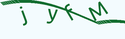 验证码